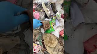 💸 You Won’t Believe What Was Found in This Trash Bag... 😱
