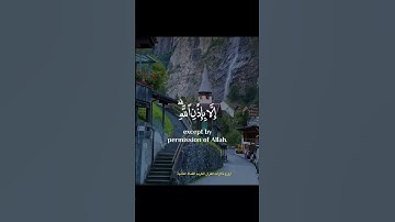 ومن يؤمن بالله يهدِ قلبه-تلاوة مؤثرة 🌹