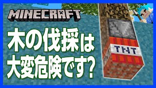 【マイクラ】木の地雷トラップの作り方！植林場にはドカーンな罠がたくさん？【攻略】【建築】