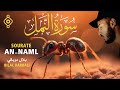 سورة النمل كاملة تلاوة هادئة بلال دربالي Sourate AnNaml Bilal Darbali Récitation Relaxante l mp3