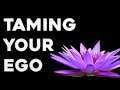 Jared Rand’s Global Guided Meditation Call Replay (1/10/19) | Young Lightworkers Channel