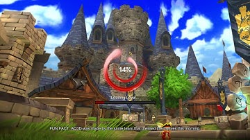 Random AQ3D Pirate VS Paladin Duels With Sprint.