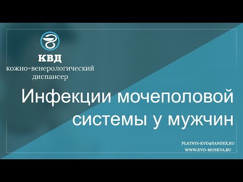 34  Инфекции мочеполовой системы у мужчин