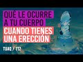 ¿Qué le ocurre a tu #cuerpo cuando tienes una #erección?