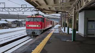 JR東日本 加茂駅を通過するEF510-2が牽引する貨物列車 新潟県加茂市 JR東日本 信越本線 2025年2月1日