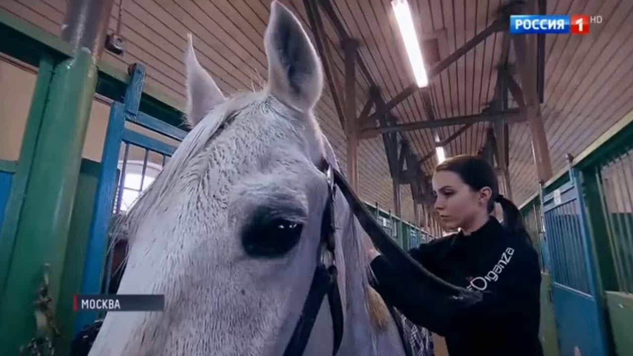 Путин оседлал строптивого коня - YouTube