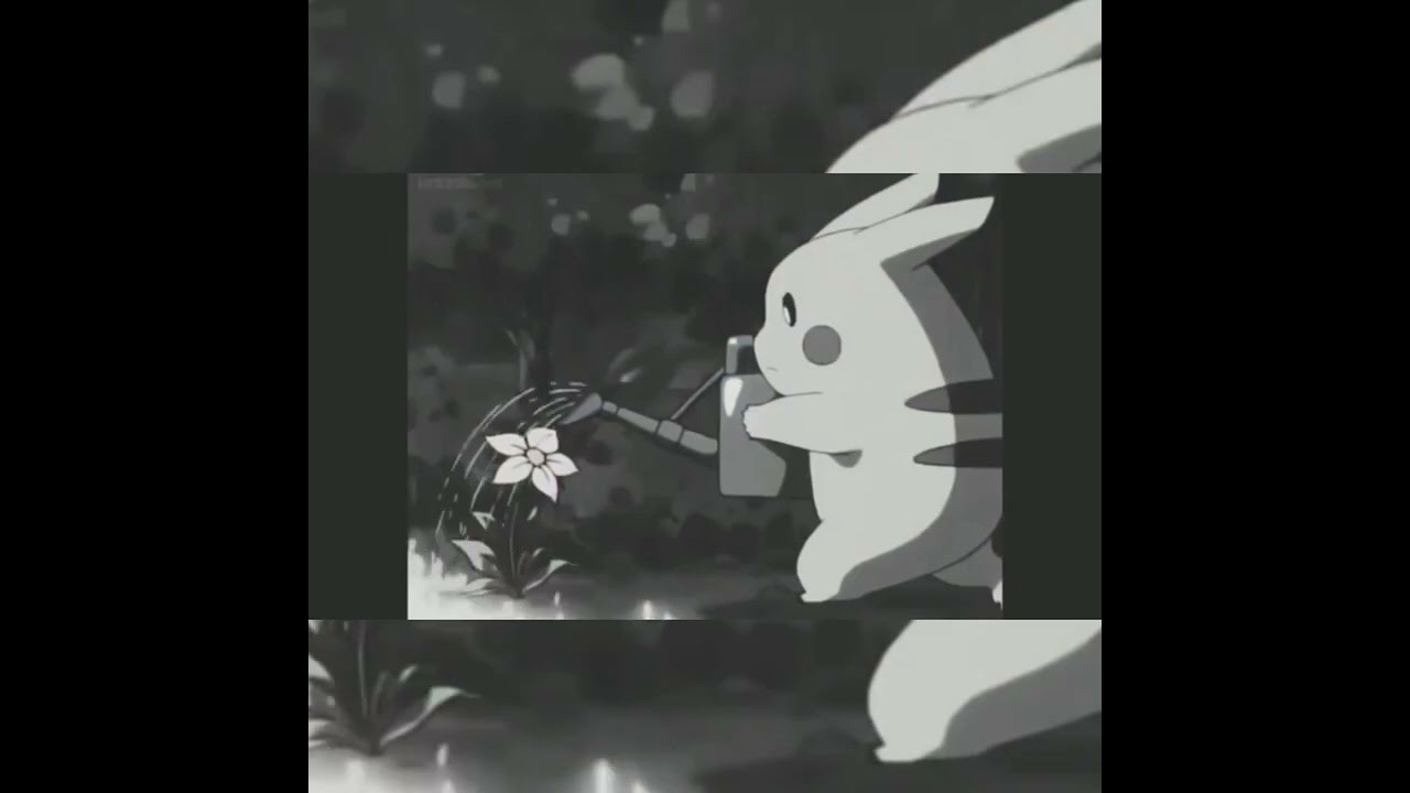 Best Thug Life Moments in Pokemon 