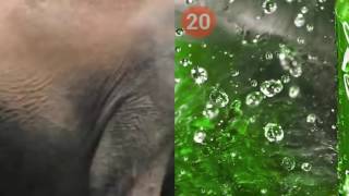 Sizi Çok Şaşırtacak 20 İlginç Bilgi