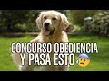 El perro más feliz del mundo (DOBLAJE)