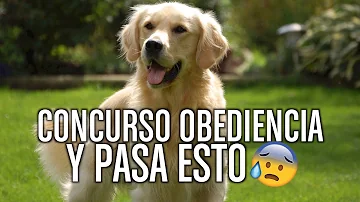 ¿Cuál es la mascota más feliz del mundo?