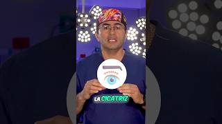 Inflamacin Post Blefaroplastia  blefaroplastia parpadoscaidos parpados bolsasenlosojos ojo