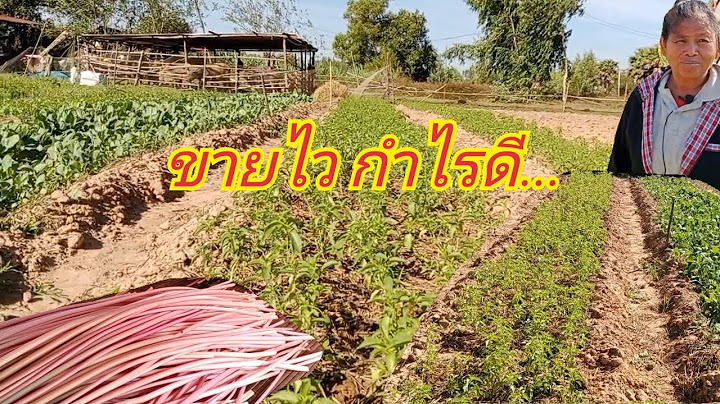 ต วอย างการขออน ม ต ส บน ำของชาวเกษตร