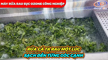 Máy rửa rau công nghiệp sục khí Ozone siêu sạch, siêu nhanh!! | Điện máy 3G
