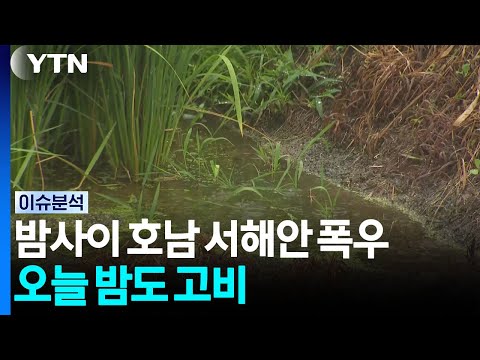 밤사이 전남 <strong>서해안</strong> '극한 호우'...오늘 밤도 고비 / YTN