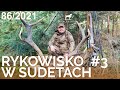 SUDECKA OSTOJA 86/2021. Deer Hunting. Rykowisko polowanie na jelenie. Wild jagen. Chasse au cerf