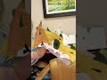 Rip Kaila