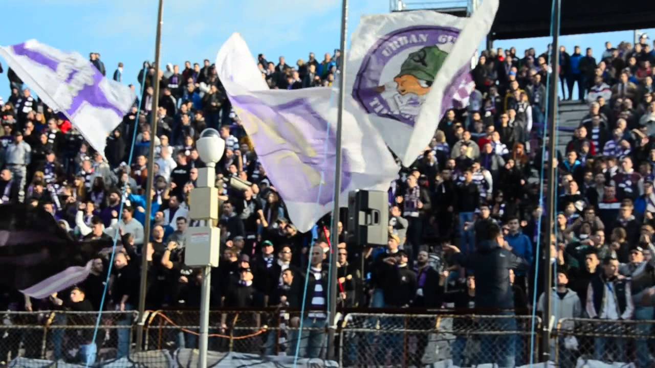 liverpool tottenham ASU Poli Ripensia Peluza Sud e din nou plina pe Dan Paltinisanu