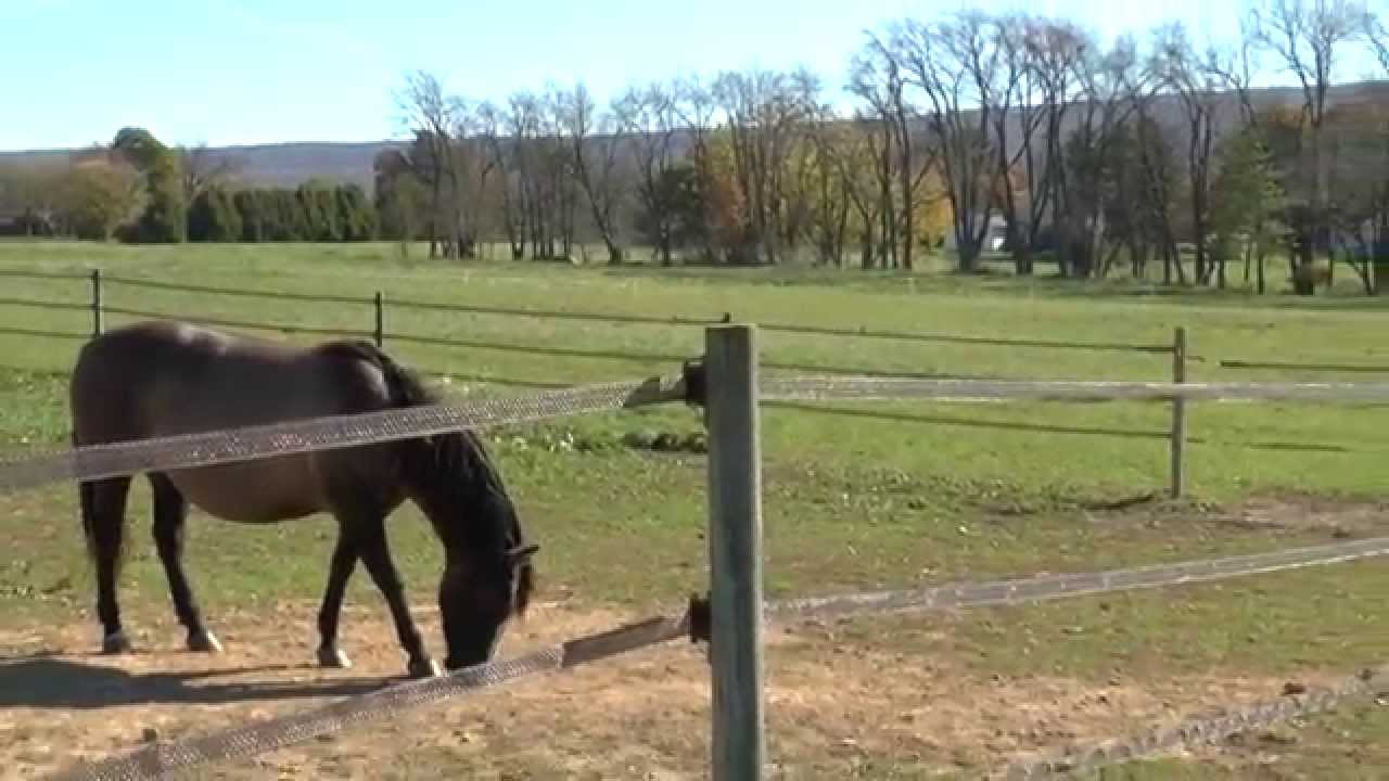 The Hillard Horse Farm for Sale Near State College, PA, Land, Pasture