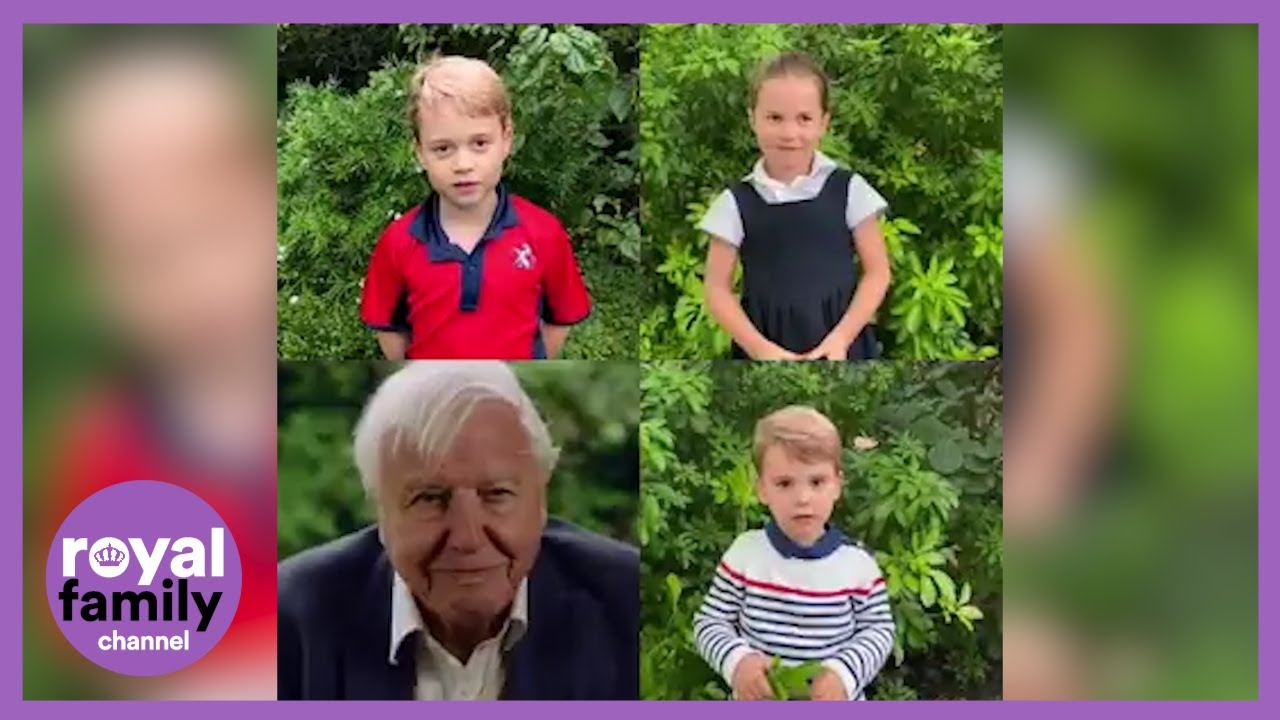 Royal Children Interview Sir David Attenborough About Wildlife