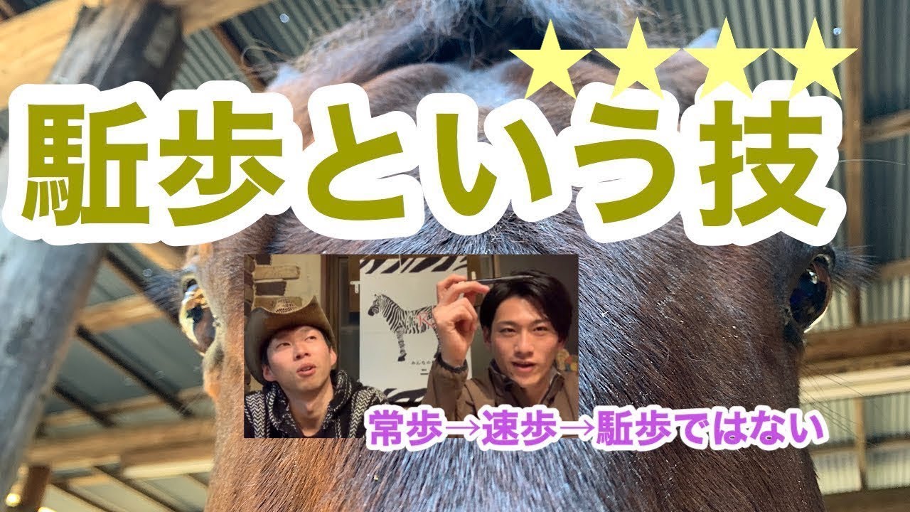 101.駈歩発進のつもりが速歩発進になってしまうのは何故⁇