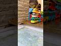 Tayo the Little Bus #toys #tayo #shorts