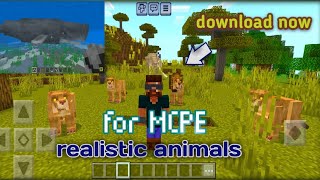 MB CREATURES PLUS addon download| best animal addon 🤘🤘