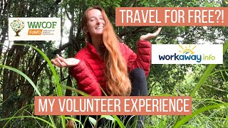I VOLUNTEERED ON A FARM IN AUSTRALIA. Here's what it was like. (Volunteer Abroad Vlog)