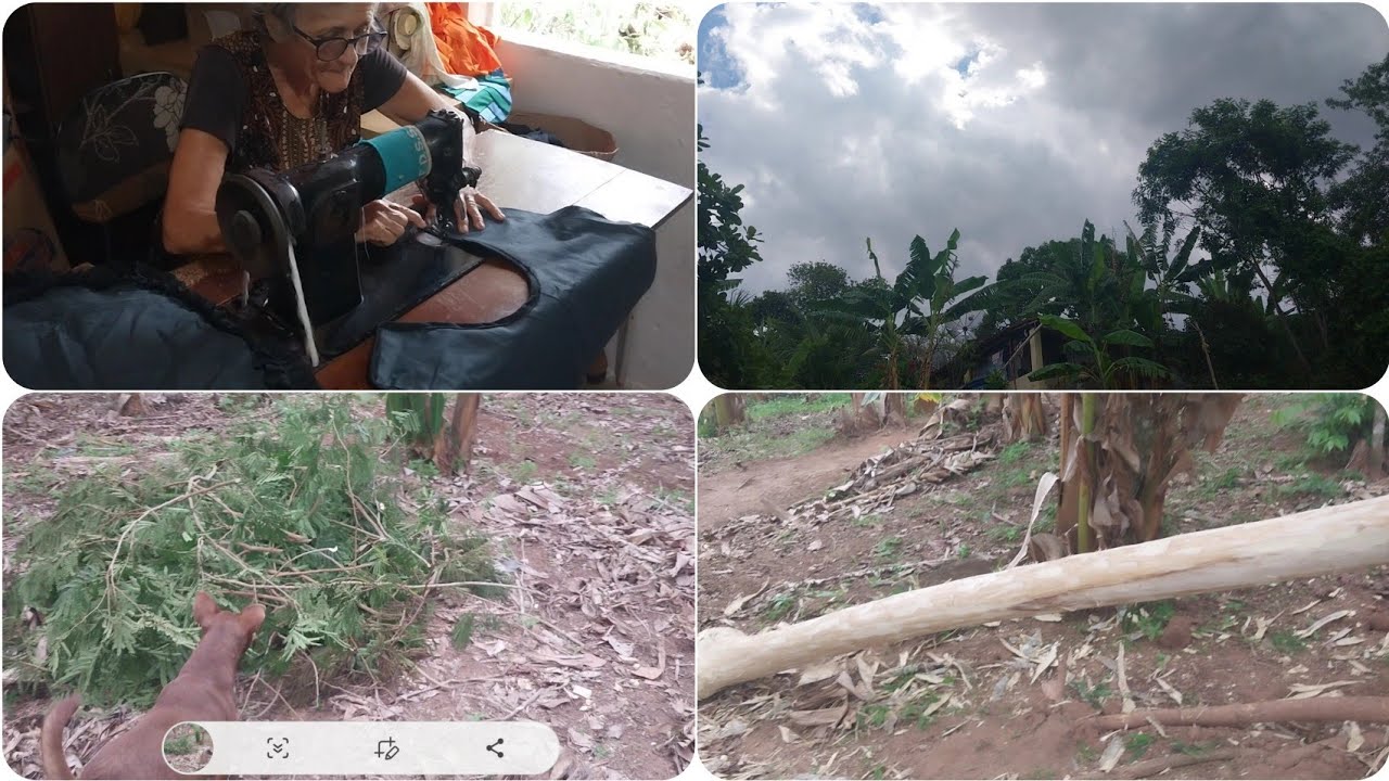 PEDIRAM E MOSTRAMOS COMO NOSSA MÃE FAZ,  APROVEITANDO A ÁRVORE QUE CAIU