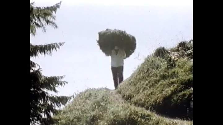 Wildheuen in Ringgenberg - Dokumentarfilm 1983