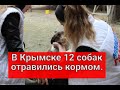 В Крымске 12 собак отравились кормом.