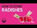 How to Store Radishes