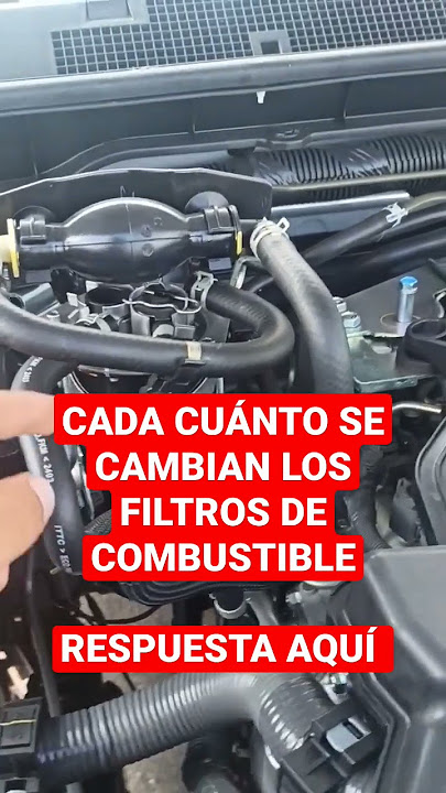 Para qué sirve el filtro de gasolina de una moto y cada cuánto se cambia? ➤  AUTODOC BLOG