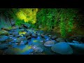 Relaxing Water Sounds Peaceful Aambience for relieve Stress, for Sleep White Noise