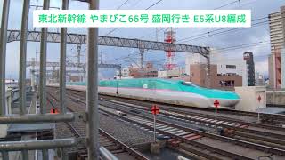 東北新幹線 やまびこ65号 盛岡行き E5系U8編成 2023.12.03