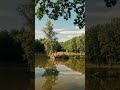 Peaceful Forest &amp; Lake in Poland | Ultimate Relaxation 🇵🇱 #shorts #shortsfeed #travel
