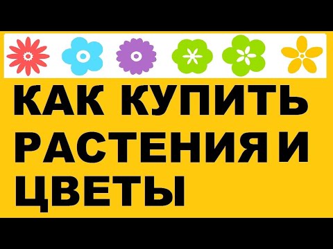 Как купить цветы и растения в питомнике Зеленые Ворота