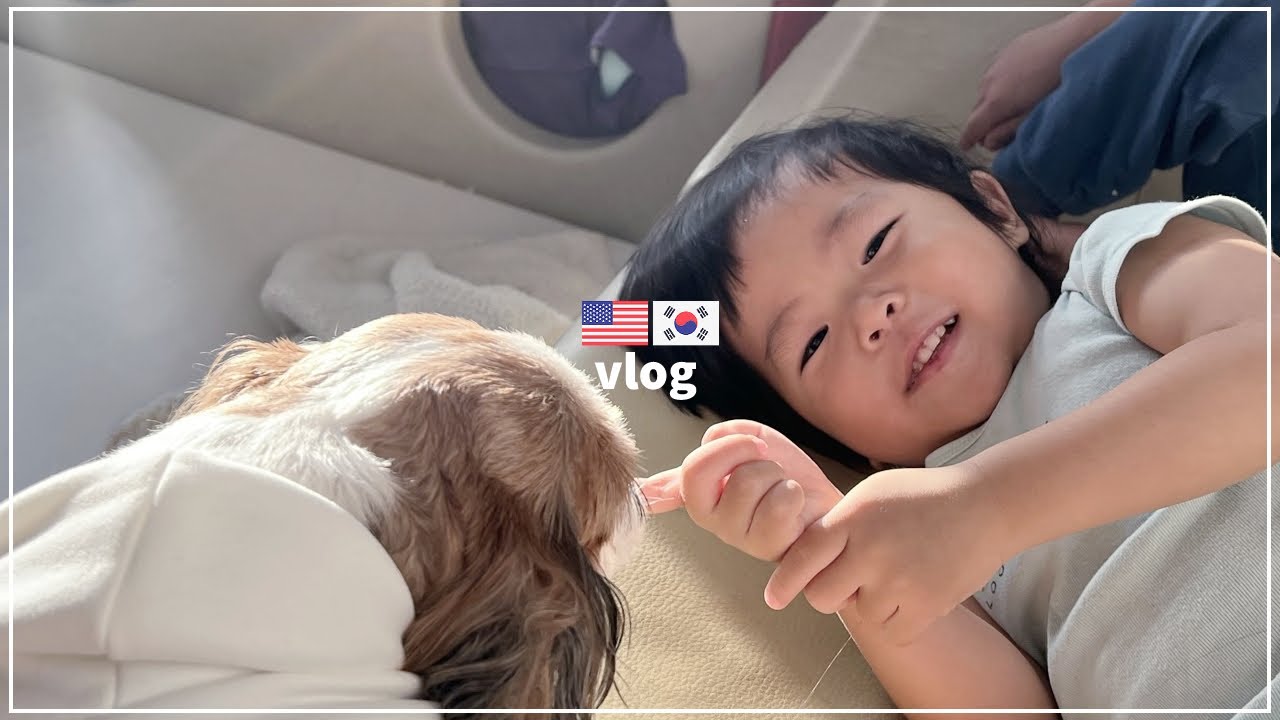 [eng]🇰🇷🇺🇸vlog 한국 일상 현실육아 브이로그👶🏻 | 현실 자매 | 롱디 | 응급실 떡볶이 | 마왕족발 | 국제커플 브이로그 | 국제부부 | 미국이민 | 미국일상