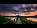 Shawn Mendes Mutual Lyric Video mp3