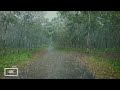 Walking in the rain  sleep instantly with the sound of heavy rain  4k asmr rain walks compilation