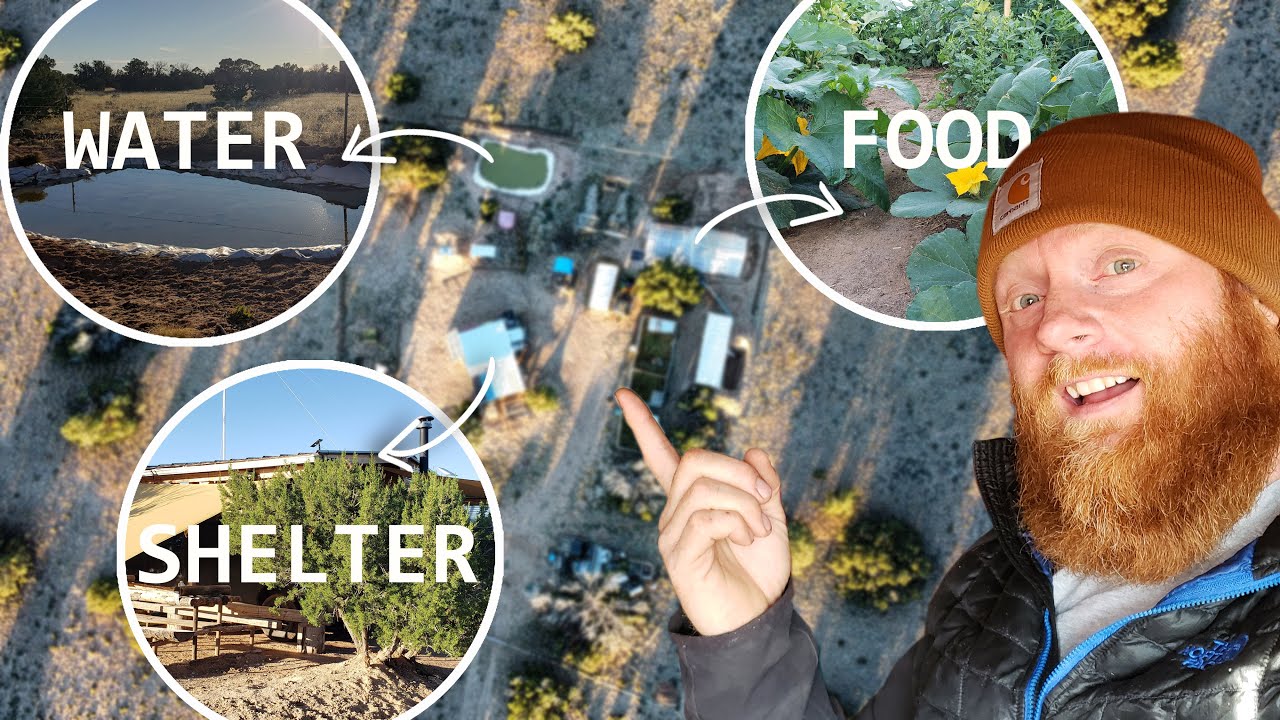 Можно ли сделать HOMESTEAD в Аризоне? | Чего я не ожидал