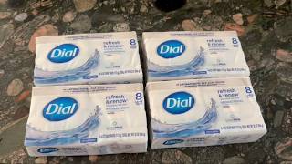Dial Antibacterial Soap Review: Refresh & Renew Bar Soap