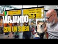 Viajando con mi Shiba Inu por España y Europa | Una experiencia increíble