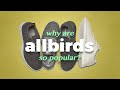 Why are Allbirds so popular?