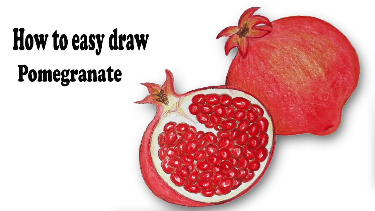 pomegranate | mags phelan