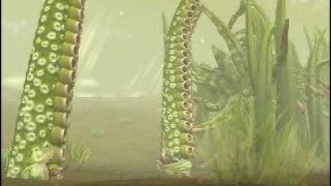 Spore Galactic Adventures: Underwater Stage (Enhanced)