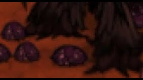 [DST] Treeguard Massage