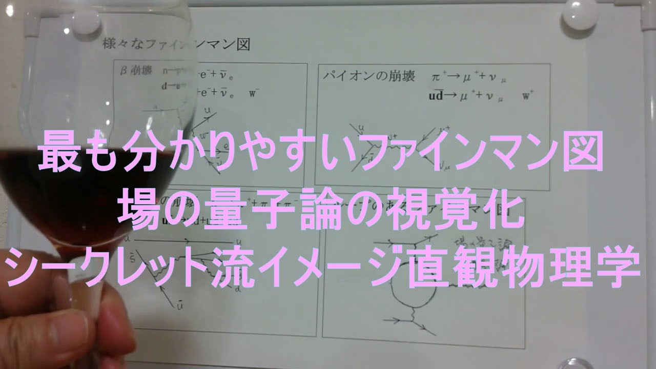 場の量子論を理解するためのファインマン図 最も分かりやすい説明