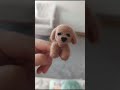 yeni denemeler🐶 #needlefelting #cute #diy #crochet #funny #kece #art #keçeiğneleme