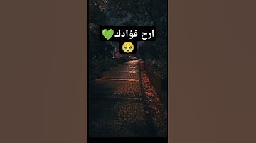 ما اسم القارئ الذي اقلده💚؟.     #حالات_واتس #اكسبلور #لايك #دويتو #المصحف #تيك_توك