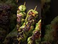 These Skewers Will Change How You Snack Forever 🍢🔥
